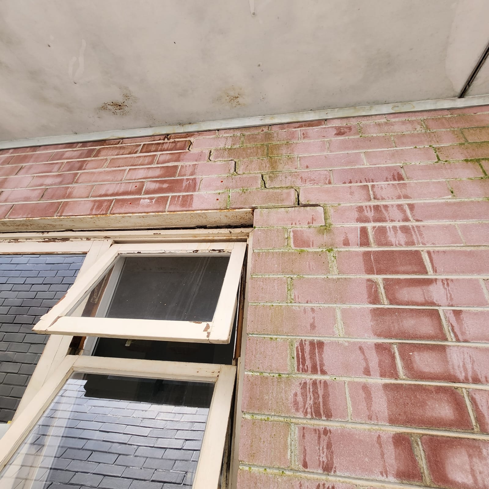 anti-mould Old brick wall with moss and cracked paint.